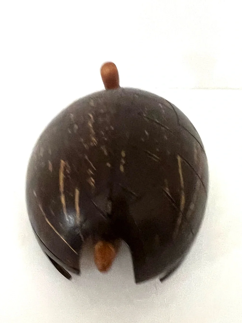 Handcrafted Brown Coconut Shell Turtle Accent - Eco Home Decor